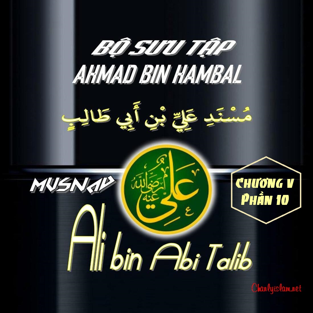 BỘ SƯU TẬP MUSNAD IMAM AHMAD IBN HANBAL - CHƯƠNG V - MUSNAD ALI BIN ABI TALIB - PHẦN 10